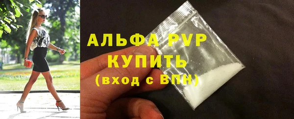 молекула духа Медвежьегорск