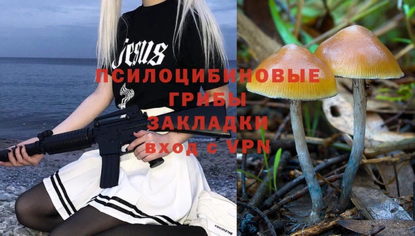 молекула духа Медвежьегорск