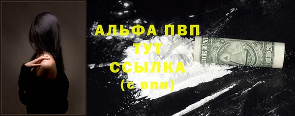 молекула духа Медвежьегорск