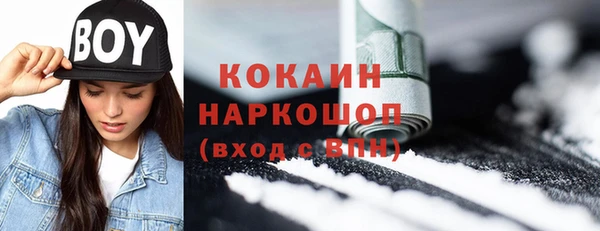 молекула духа Медвежьегорск