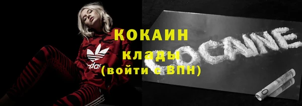 сатива Рославль