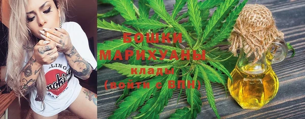молекула духа Медвежьегорск
