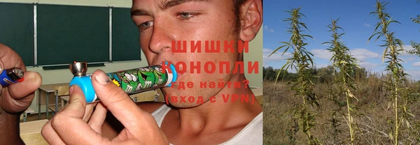 молекула духа Медвежьегорск