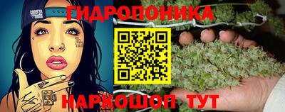 Альфа ПВП Гай