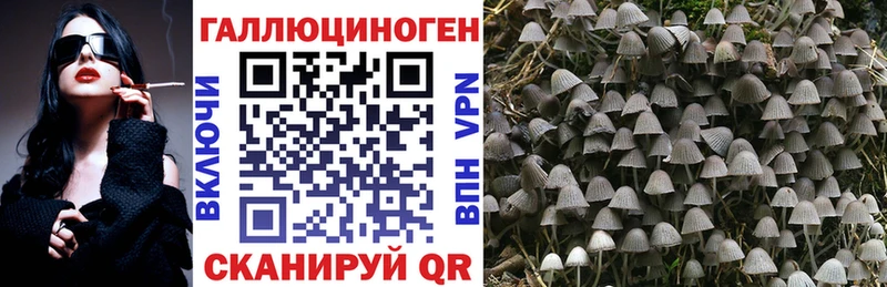 Галлюциногенные грибы MAGIC MUSHROOMS  хочу   Темрюк 