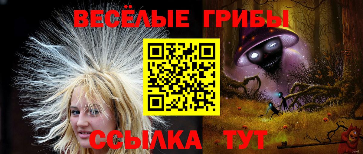 Псилоцибиновые грибы Psilocybe Темрюк